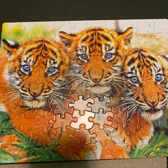 puzzles - Picture 9 of 9